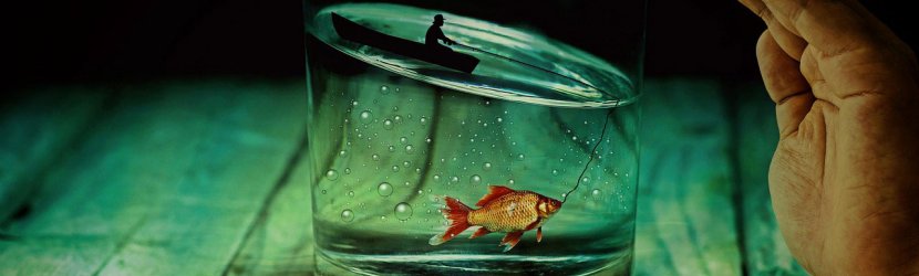 Opsætning kommentar angreb Hvor Mange Fisk I 120 Liter Tank? - aquaterra.dk
